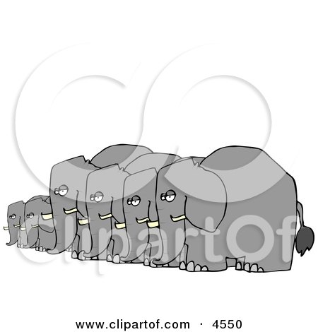 Herd of Small and Big Elephants Standing Together in a Row Clipart by djart