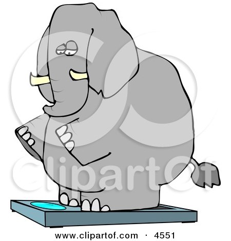Obese Elephant Standing On a Weight Scale Clipart by djart