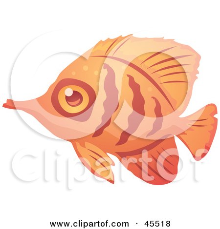 Royalty-free (RF) Clipart Illustration of a Shy Orange And Red Striped Fish In Profile by John Schwegel