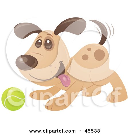 Playful Puppy Dog Wagging His Tail And Playing Fetch With A Tennis Ball Posters, Art Prints