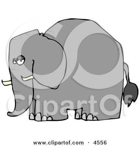 Elephant with Tusks Clipart by djart