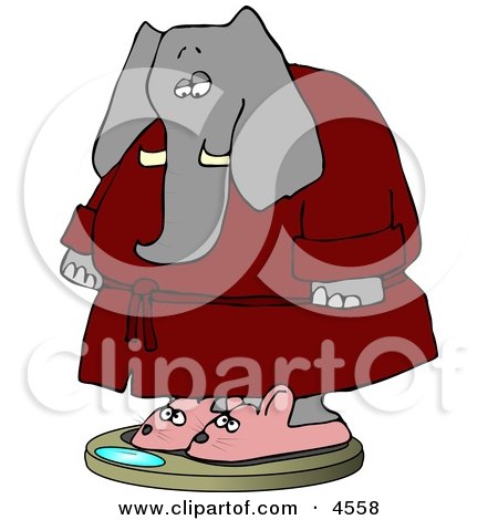 Anthropomorphic Elephant Wearing Bathrobe and Mouse Slippers While Weighting In On a Scale Clipart by djart