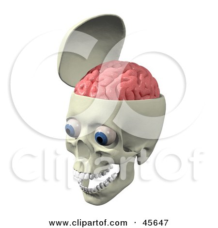 Royalty-free (RF) Clipart Illustration of a Skull With The Pink Brain Exposed, Big Blue Eyes And Teeth In The Jaw by Michael Schmeling