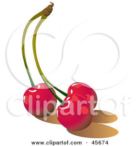 Royalty-free (RF) Clipart Illustration of Three Connected Red Bing Cherries by pauloribau