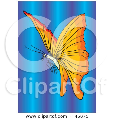 Royalty-free (RF) Clipart Illustration of a Beautiful Orange Winged Butterfly Over A Purple And Blue Background by pauloribau