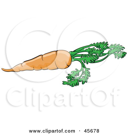 Royalty-free (RF) Clipart Illustration of a Fresh Orange Carrot With The Leaves by pauloribau
