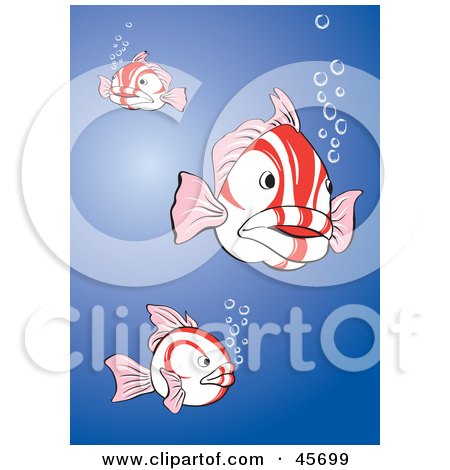 Royalty-free (RF) Clipart Illustration of Three White And Red Fish With Bubbles, Swimming In The Blue Sea by pauloribau