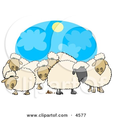 Herd of Black and White Sheep Standing Together Under the Sun Clipart by djart
