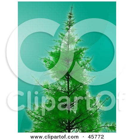 Royalty-free (RF) Clipart Illustration of a Lush And Tall Evergreen Pine Tree Growing Over A Wavy Teal Background by Kheng Guan Toh