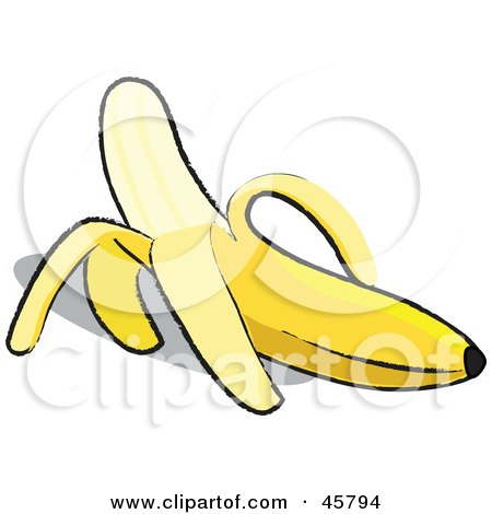 Royalty-free (RF) Clipart Illustration of an Organic Yellow Banana Peeled Half Way by Pams Clipart