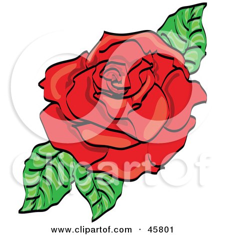 Royalty-free (RF) Clipart Illustration of a Fully Bloomed Red Rose Blossom With Leaves by Pams Clipart