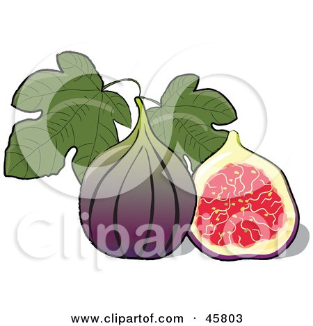 Royalty-free (RF) Clipart Illustration of a Halved And Whole Fig Fruit With Leaves by Pams Clipart