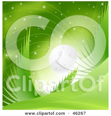 Royalty-Free (RF) Clipart Illustration of a Night Scape Of Green Abstract Plants And Stars In The Moon Light by Tonis Pan