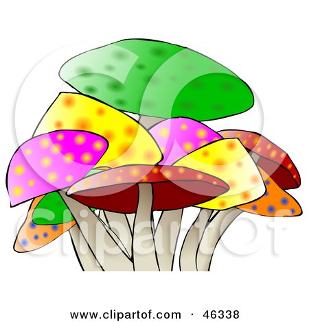 Royalty-Free (RF) Clipart Illustration of a Colorful Mushroom Patch by djart