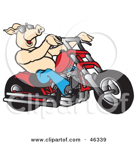 Clipart Illustration of a Happy Shirtless Pig In Shades, Riding A Red Chopper by Snowy