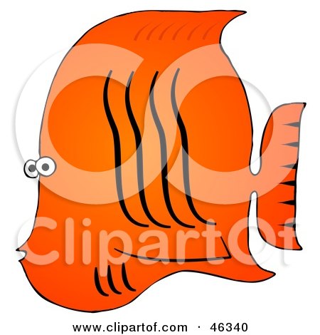 Royalty-Free (RF) Clipart Illustration of a Tropical Orange Fish With Black Wavy Lines by djart