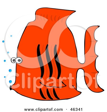 Royalty-Free (RF) Clipart Illustration of a Black And Orange Tropical Fish With Bubbles by djart