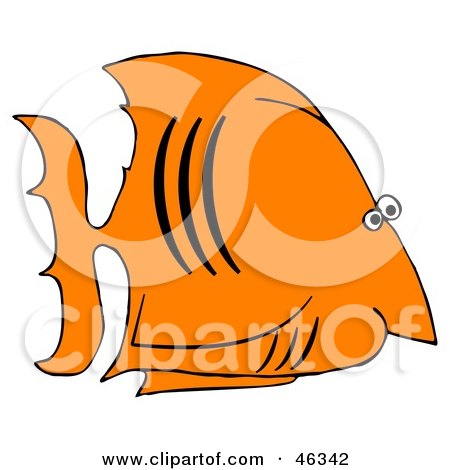 Royalty-Free (RF) Clipart Illustration of a Black And Orange Salt Water Fish In Profile by djart