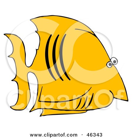 Royalty-Free (RF) Clipart Illustration of a Yellow Salt Water Fish With Black Gills by djart