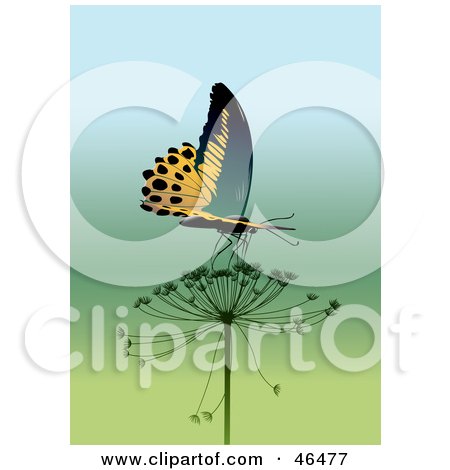 Royalty-Free (RF) Clipart Illustration of a Majestic Yellow Butterfly Drinking Nectar From A Milkweed Flower by Eugene