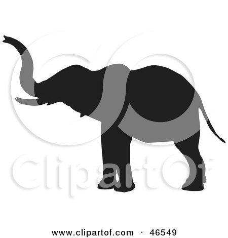 Royalty-Free (RF) Clipart Illustration of an Elephant Extending His Trunk Black Silhouette On White by KJ Pargeter