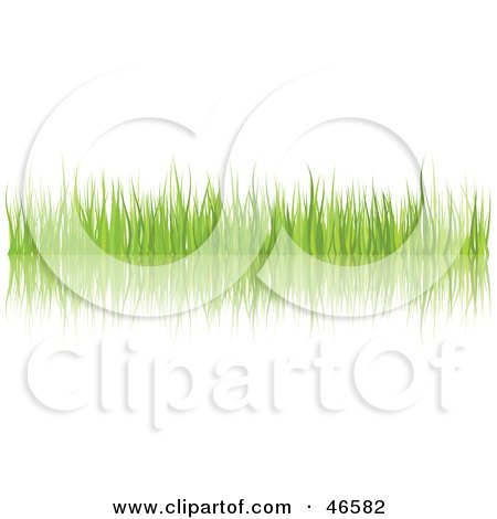 Royalty-Free (RF) Clipart Illustration of Green Grass Blades With A Reflection On White by KJ Pargeter