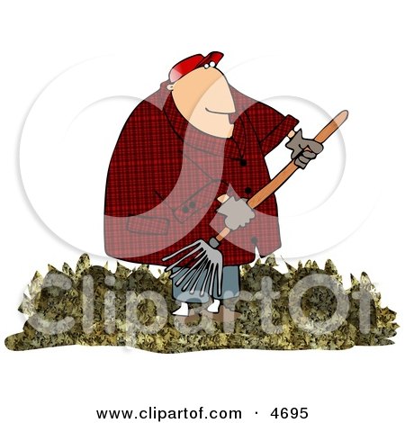 Obese Man Raking Dead Leaves from a Lawn Clipart by djart