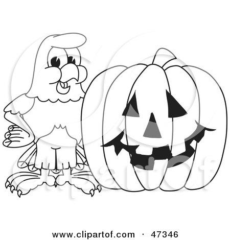 Royalty-Free (RF) Clipart Illustration of a Bald Eagle Hawk Or Falcon With A Pumpkin Outline by Mascot Junction