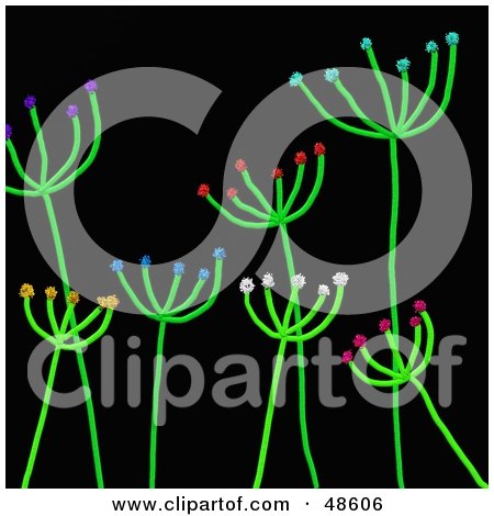 Royalty-Free (RF) Clipart Illustration of Stick Plants With Colorful Blossoms On Black by Prawny