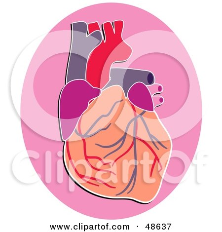 Royalty-Free (RF) Clipart Illustration of a Human Heart on a Pink Oval by Prawny