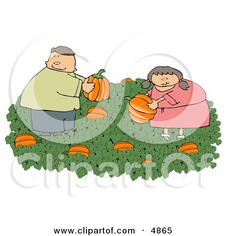 Man & Woman Picking Fresh Pumpkins from a Pumpkin Patch Posters, Art Prints