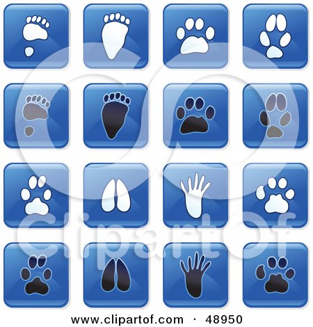 Royalty-Free (RF) Clipart Illustration of a Digital Collage Of Square Blue, Black And White Animal Track Icons by Prawny
