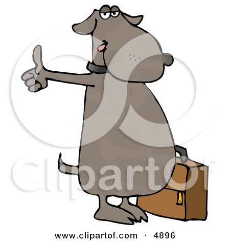 Human-like Dog Hitchhiking for an Automobile Ride Clipart by djart