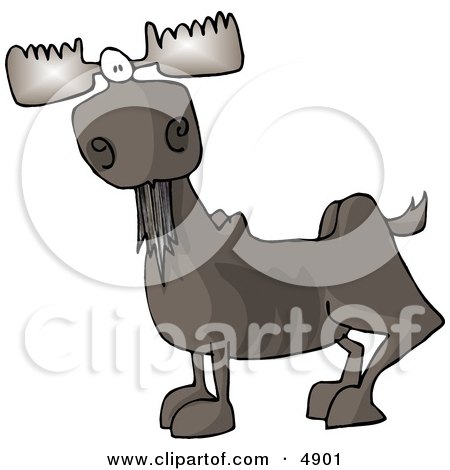 Full Grown Bull Moose with Antlers Clipart by djart