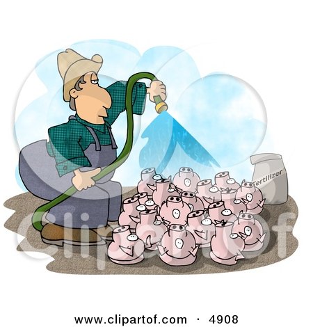 Farmer Watering His Pigs with Fertilizer - Livestock Concept Posters, Art Prints