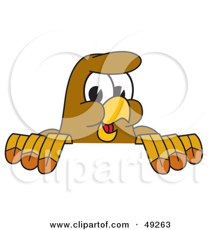Royalty-Free (RF) Clipart Illustration of a Hawk Mascot Character Looking Over a Surface by Mascot Junction