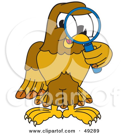 Royalty-Free (RF) Clipart Illustration of a Hawk Mascot Character Using a Magnifying Glass by Mascot Junction