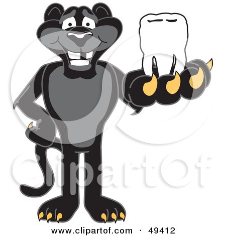 Royalty-Free (RF) Clipart Illustration of a Black Jaguar Mascot Character Holding a Tooth by Mascot Junction