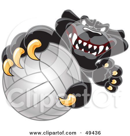 Royalty-Free (RF) Clipart Illustration of a Black Jaguar Mascot Character Grabbing a Volleyball by Mascot Junction