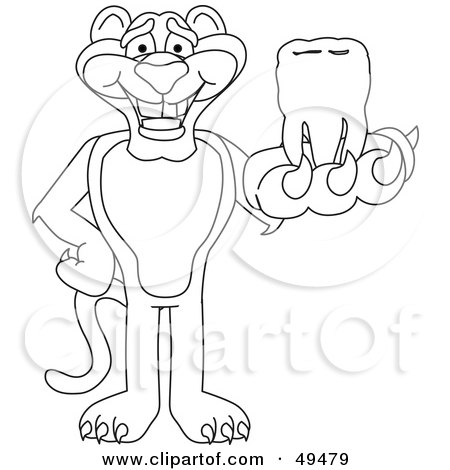 Royalty-Free (RF) Clipart Illustration of an Outline Of A Panther Character Mascot Holding a Tooth by Mascot Junction