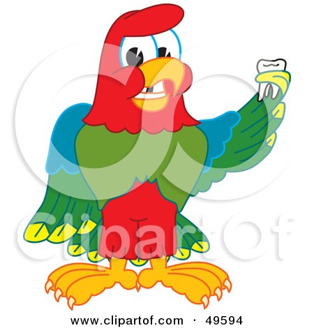 Royalty-Free (RF) Clipart Illustration of a Macaw Parrot Character Mascot Holding a Missing Tooth by Mascot Junction