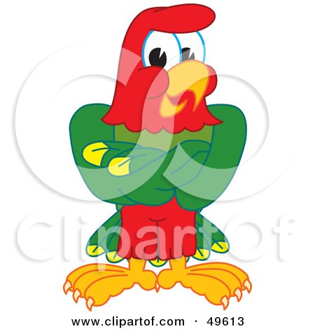 Royalty-Free (RF) Clipart Illustration of a Macaw Parrot Character Mascot With His Wings Crossed by Mascot Junction