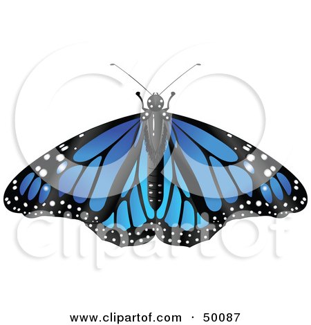 Royalty-Free (RF) Clipart Illustration of a Spanned Blue Monarch Butterfly by Pushkin