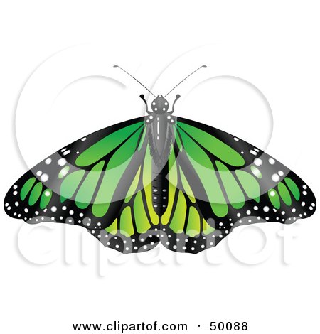 Royalty-Free (RF) Clipart Illustration of a Spanned Green Monarch Butterfly by Pushkin