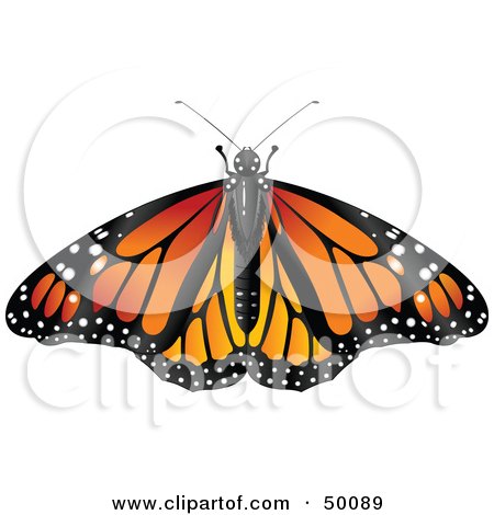 Royalty-Free (RF) Clipart Illustration of a Spanned Orange Monarch Butterfly by Pushkin