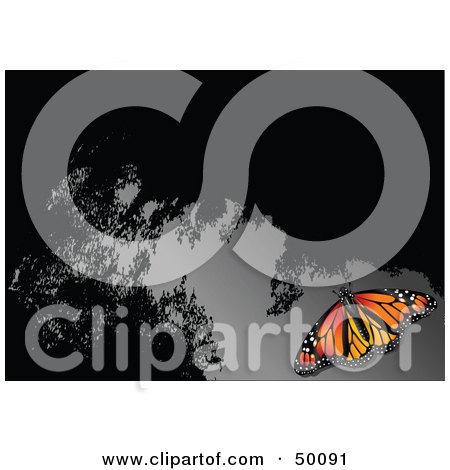 Royalty-Free (RF) Clipart Illustration of a Monarch Butterfly On A Reflective Gray And Black Surface by Pushkin
