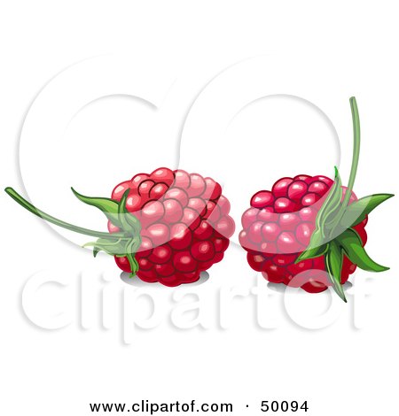 Royalty-Free (RF) Clipart Illustration of Two Ripe Red Raspberries With Stems by Pushkin