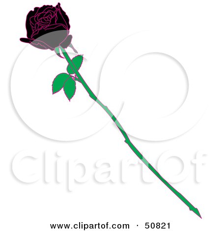Royalty-Free (RF) Clipart Illustration of a Single Black Rose With White Rips On The Petals by Cherie Reve