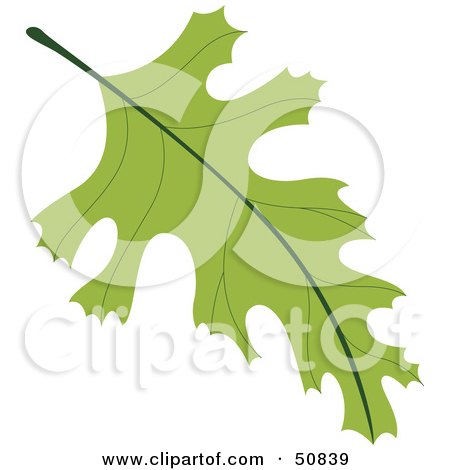 Royalty-Free (RF) Clipart Illustration of an Autumn Leaf - Version 3 by Cherie Reve