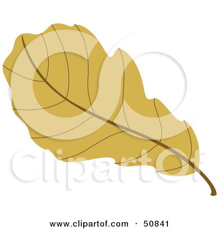 Royalty-Free (RF) Clipart Illustration of an Autumn Leaf - Version 2 by Cherie Reve